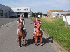 Ponycle Pony Reiten zum leihen für Feste